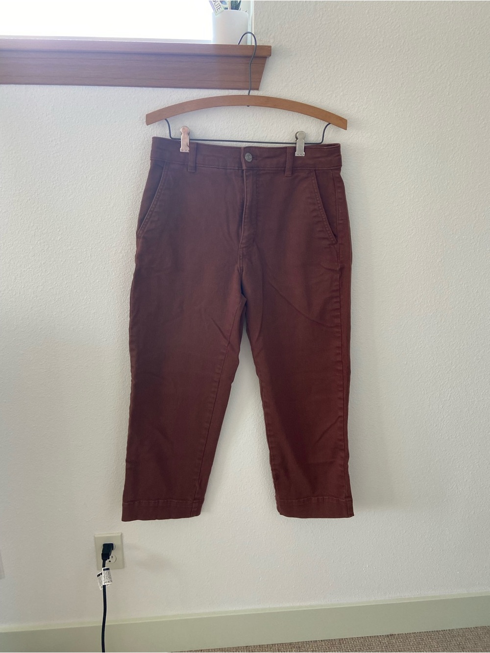 Everlane Straight Leg Utility Pant in Rosewood